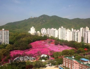 탑 기사 이미지