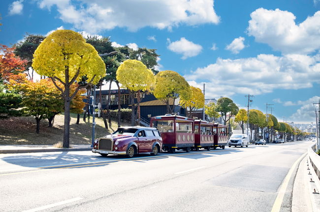 정조로 테마 가로수길