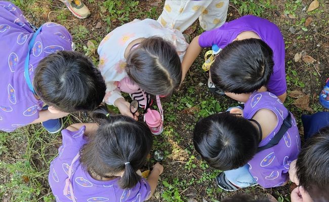 모여라! 중랑구 동물 친구들에 참여한 유아들이 유아동네숲터에서 관찰하고 있는 모습