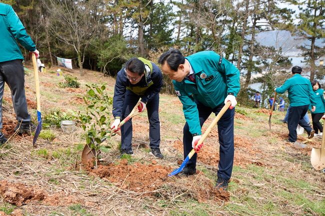 이순신공원 ~ 세자트라숲 산책로 일원에 동백나무 1,000여본 식재