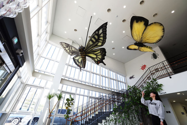 관람객이 대형 나비 모빌을 보며 사진을 찍고 있는 모습