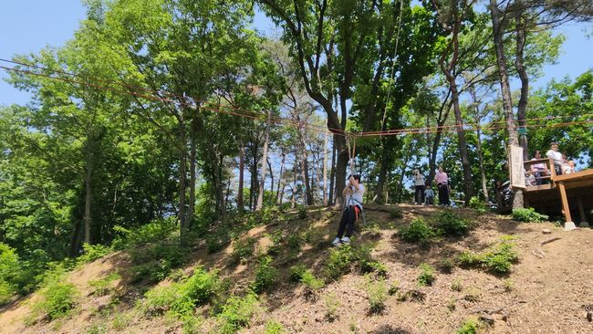 대전특수교육원, 특수교육대상자 가족 정서 지원을 위한 숲 힐링 체험