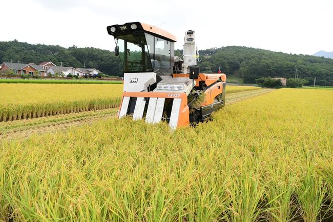 강화군이 올해 처음으로 추진하는 `농어업인 수당`을 지급했다고 밝혔다.