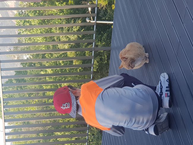 23년 노원 사진 공모전 -구민과 고양이