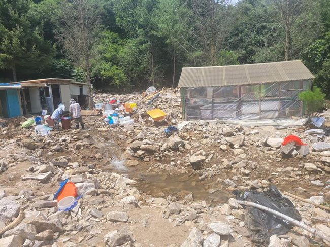 2023년 산사태 피해 현장 - 신림면 황둔리 산90-1번지 일원