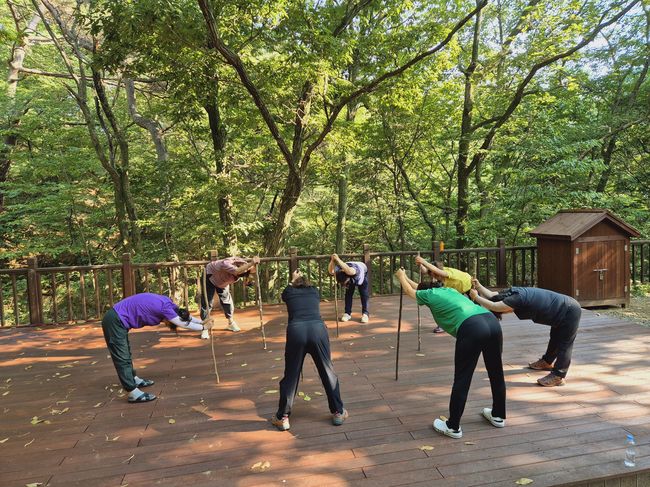 김해시 `디지털 디톡스` 산림치유 프로그램 운영