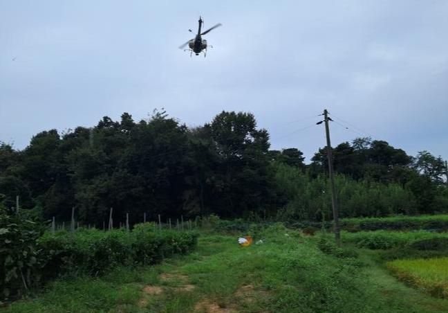 평택시, 돌발해충 드론방제 실시