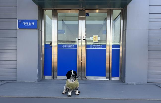 공사 후 은퇴견 전용 견사