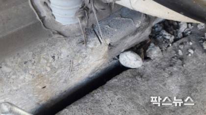 균열이 발생된 삼두아파트.