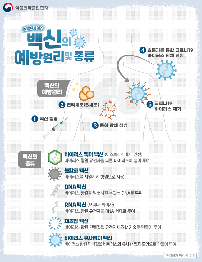 코로나바이러스 백신의 예방 원리 및 종류 (이미지=식품의약품안전처)