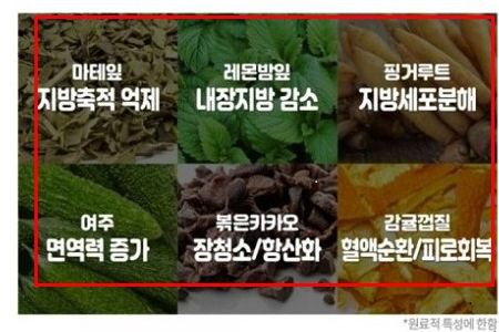 소비자기만 등 부당광고 사례 (이미지 = 식약처)