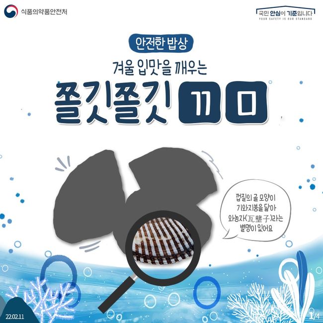 꼬막류 구별법 카드뉴스 (이미지=식품의약품안전처)