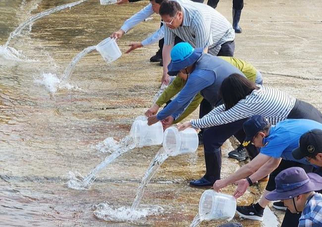 옹진군(군수 문경복)은 관내 어족자원확대를 위해 지난 13일 대청도 선진포구 인근 해역에 어린 감성돔 30만 마리를 방류했다고 밝혔다.