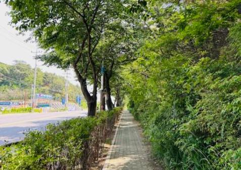 김포시(시장 김병수)는 올해 국 · 도비 4억원을 포함한 9억원의 사업비를 활용해 도시열섬과 폭염 완화, 탄소흡수 등 도심 생활환경 개선을 위한 도시숲 조성사업을 완료했다고 밝혔다.