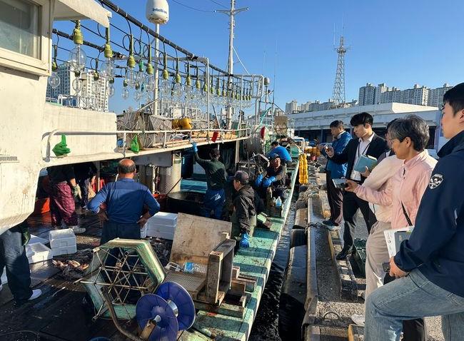 양륙항에 입항한 어선 점검 사진