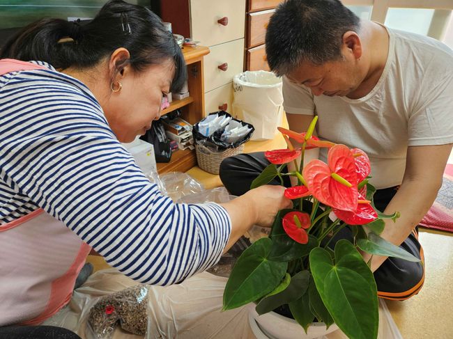 방문요양 어르신 반려식물 보급사업 진행 모습