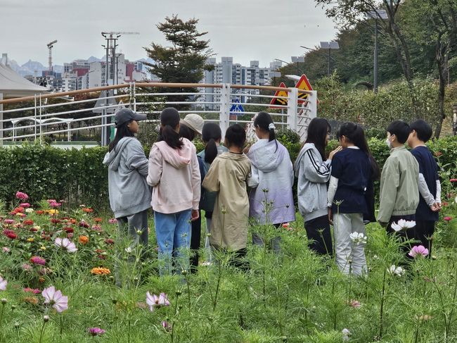 지난 안양천 생태체험교실에서 학생들이 자연생태를 관찰하고 있다.