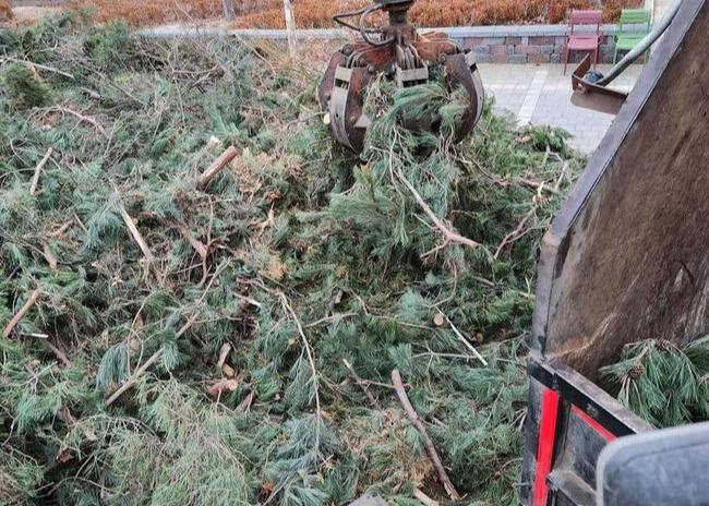 수원시가 지난해 8월 시작한 임목폐기물 무상처리 사업으로 700t을 수거 · 처리하는 성과를 거뒀다.