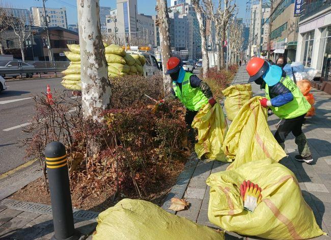 새봄맞이 가로수, 녹지대 정비 (사진=구로구청 제공)